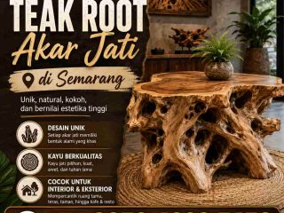 jual akar jati teak root di semarang
