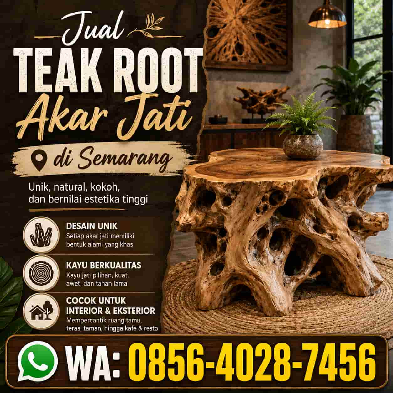 jual akar jati teak root di semarang