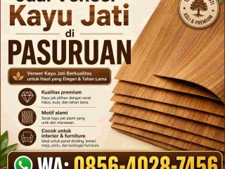 jual veneer kayu jati di pasuruan jawa timur