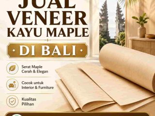 jual veneer kayu maple di bali (1)