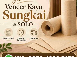jual veneer kayu sungkai di solo (1)