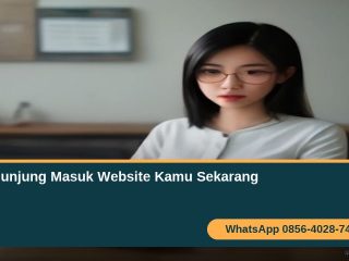 pengunjung-website